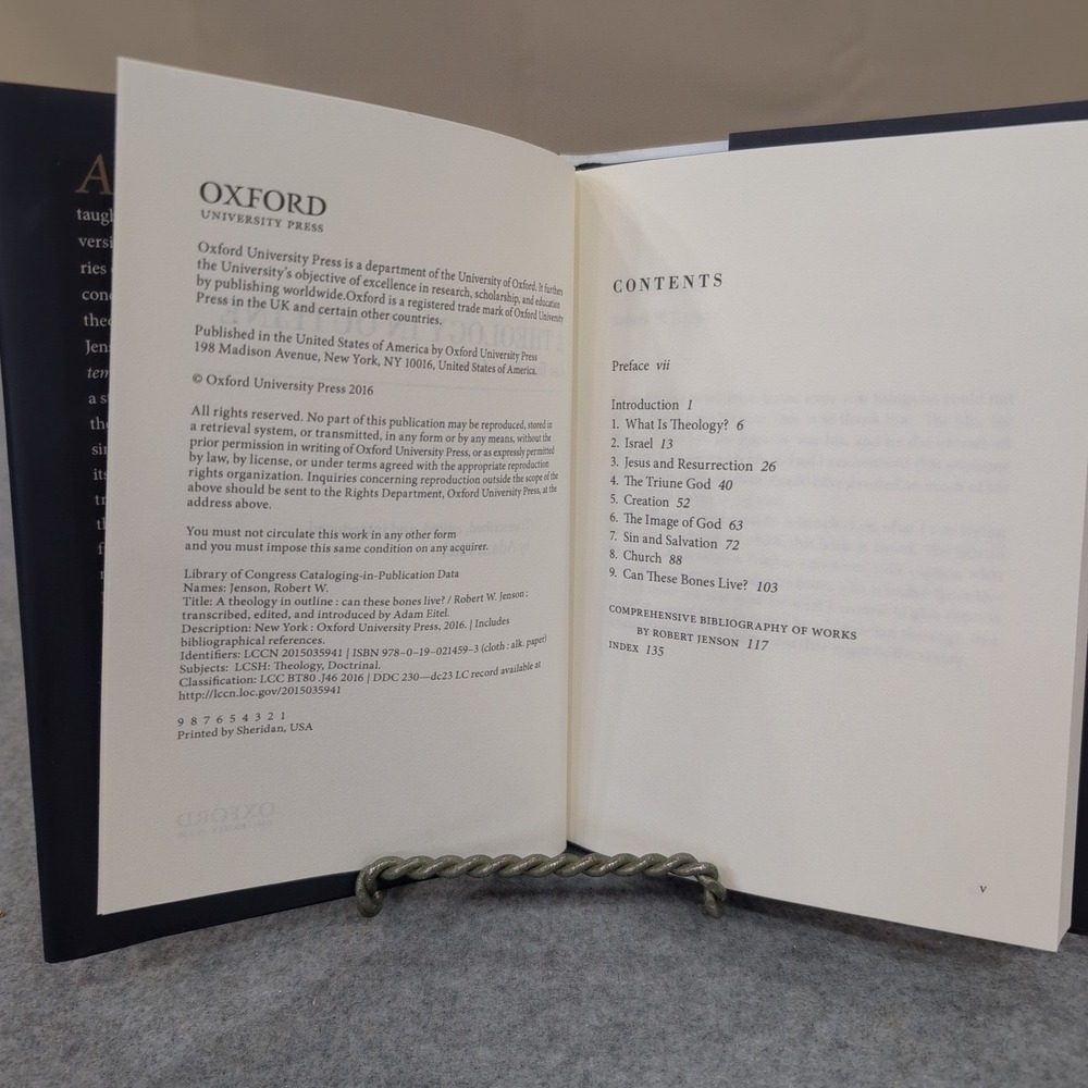 A Theology in Outline Can These Bones Live? Robert W Jenson Oxford Hardcover - Picture 2 of 5